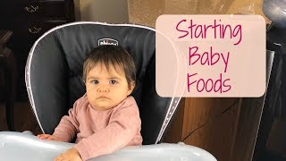 STARTING SOLID FOODS The Italian way Part 1 [upl. by Yanad]