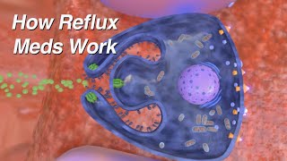 How do Reflux Medications Work Proton Pump Inhibitors H2 Blockers Alginates [upl. by Norad]