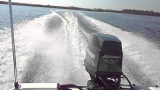 Aquasport 16 Powered By A 70 Hp Johnson Fresh Rebuild [upl. by Acinet]