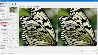 How to Enlarge Images with PhotoZoom [upl. by Jocelin]