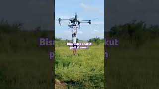 Uji coba drone pengangkut padi [upl. by Ecadnac]