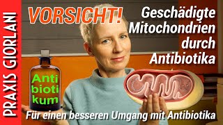 VORSICHT Geschädigte Mitochondrien durch Antibiotika [upl. by Odlauso773]