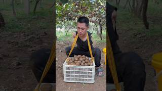 How Handicap Farmer Collect Fruits 🍎🥭🥹 shorts handicap fruit [upl. by Anifesoj]