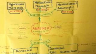 Pathophysiology of anemia and polycythemia [upl. by Gilus]