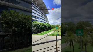 View of Chennai Siruseri TCS 😱  Siruseri IT PARK  IT HUB Chennai  sipcot IT park  SUBSCRIBE 👇 [upl. by Genesa39]