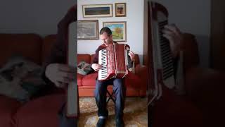 Caterina Caselli  Perdono  Accordion Cover By Paul Arrangement [upl. by Ave]