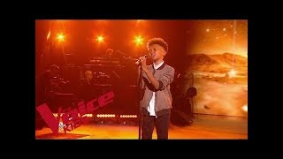 Daniel Balavoine  SOS dun terrien en détresse  Soan  The Voice Kids France 2019  Finale [upl. by Lamprey]