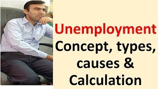 Definition of Unemployment  causes consequences and calculations of unemployment explained with exp [upl. by Janik465]