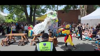 Lion dance at Footscray Lunar New year festival 2024 liondance australia melbourne lunar [upl. by Gauntlett]