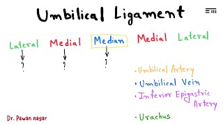 Umbilical Ligament  NEET PG 2023 Recall  Dr Pawan nagar [upl. by Pergrim242]