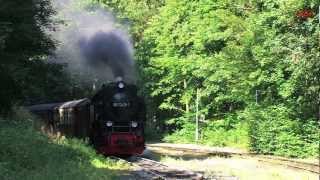 Dampf über dem Harz 23  die HSB  Dampfloks  Steam Trains [upl. by Eleonora]