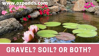 Best Pond Plants For Sale The time to buy aquatic plants [upl. by Westbrook677]