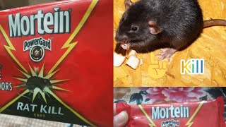 quotHow to use rat kill cake killrat in easily way mortein rat ratlkillpower information [upl. by Yelyak]