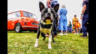 Harpenden Car Show 24th July 2024 Part 2 [upl. by Noillimaxam384]