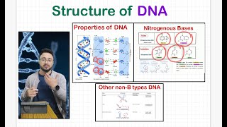 DNA Structure in detail and its types ARS Agri Biotechnology CSIRJRF ICARJRFSRF [upl. by Ary522]