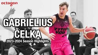 Gabrielius Čelka 20232024 Season Highlights [upl. by Niggem568]