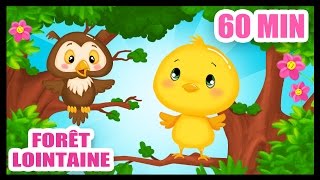 Dans la forêt lointaine  60 min de comptines pour bébés  Titounis [upl. by Aiyotal561]