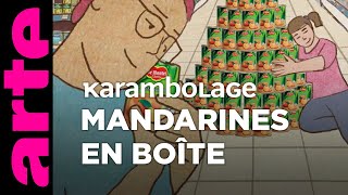 Mandarines en boîte  Karambolage  ARTE [upl. by Hum]