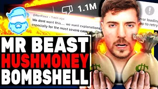 Mr Beast Hush Money BOMBSHELL amp Viewers DEMAND Video Apology As New Video DISLIKED Into Oblivion [upl. by Renner]