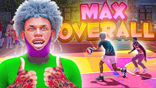 FASTEST WAY TO GET MAX BADGES AND 99 OVERALL IN 1 DAY IN 2K24 MAX EVERY BUILD YOU MAKE IN A DAY [upl. by Rothberg]