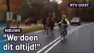 Oversteken met 13 losse paarden quotWe doen dit al twintig jaar quot  RTV Oost [upl. by Anyal]