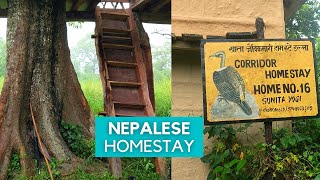 Amazing Nepalese HOMESTAY and VILLAGE Tour [upl. by Ecinue]