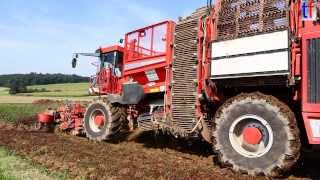 BEET HARVESTER  Rübenernter Holmer Terra Dos T3 2013 [upl. by Amled209]