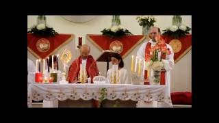 Novena di San Bartolmeo Apostolo Pellare Sa 2016 [upl. by Singh]