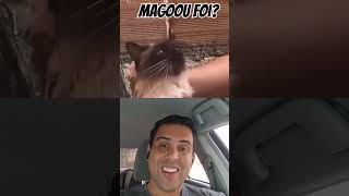 O gato que fala magoei 🤣🤣 shorts reaction [upl. by Brockwell]