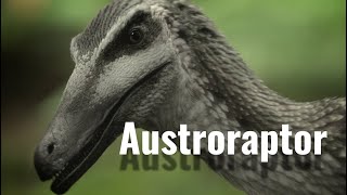 Austroraptor the largest Dromaeosaur in the Southern Hemisphere [upl. by Salchunas625]