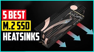 The 5 Best M 2 SSD Heatsinks In 2021 [upl. by Auqenes715]