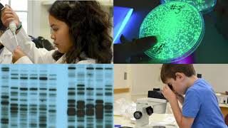 DNA Fingerprinting Fall 2020 Virtual Field Trips and Science Activities [upl. by Herrah94]