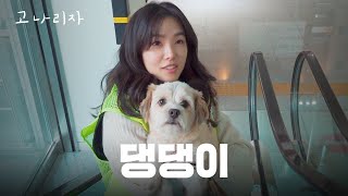 강아지가 강 아나 산책시켰습니다ㅣ고나리자 EP45 [upl. by Attolrahc518]