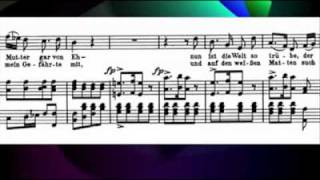 Schubert  Winterreise Gute nacht Padmore Lewisflv [upl. by Ostraw]