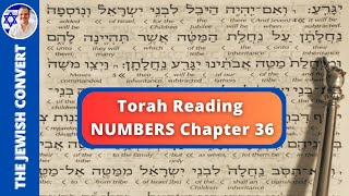 Numbers Chapter 36  Torah Reading in Hebrew with English Translation  TORAH STUDY [upl. by Gnort735]