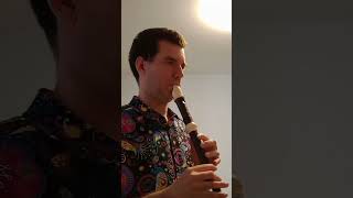 A lovely melody by George Bingham on the recorder [upl. by Airdnaid]