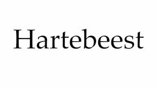 How to Pronounce Hartebeest [upl. by Tawsha]