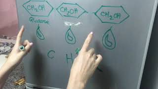 Dextrinisation explained [upl. by Latouche]