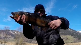 fly fishing on river Salzach  Fliegenfischen an der Salzach [upl. by Ahsinit]