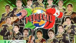 MARIACHI PEDREGAL TERESAwmv [upl. by Nolyag]