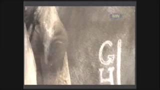 GTV NINE NETWORK Wide World Of Sports  Horse Racing opening title [upl. by Nabla207]