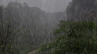 Fall Asleep Instantly with Soothing Rain ASMR  Rain Sounds For Sleeping Go on [upl. by Ainigriv]