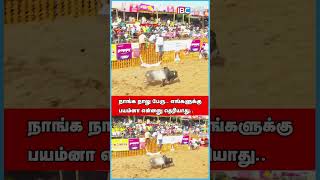 நாங்க நாலு பேரு எங்களுக்கு பயம்னா என்னனு தெரியாது  Palamedu Jallikattu 2023  IBC Tamil [upl. by Ynwat811]