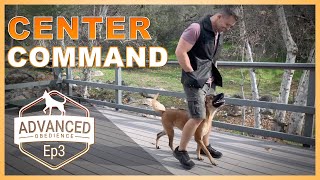 How to Teach Your Dog the Center Command [upl. by Clapp]