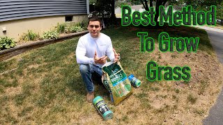 The best method to grow grass  a comparison of popular products on the market [upl. by Nairim]