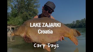 Carp Fishing 2020  jezero Zajarki Croatia  BIG 40kg CARP in the end of the movie with EN Subs [upl. by Affay]