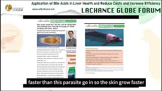 Dr Ghonimy  Bile acids applications in salmon liver health [upl. by Mattson]