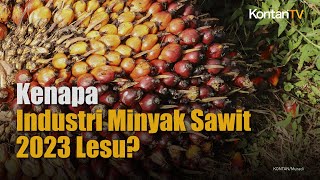 Inilah Penyebab Industri Minyak Sawit Lesu Di Awal 2023 [upl. by Herrick]