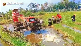 traktor sawah bongkar bedengan kurang air [upl. by Inge]