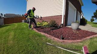 Manicuring 28 Bushes for a Good Curb Appeal [upl. by Nnad]